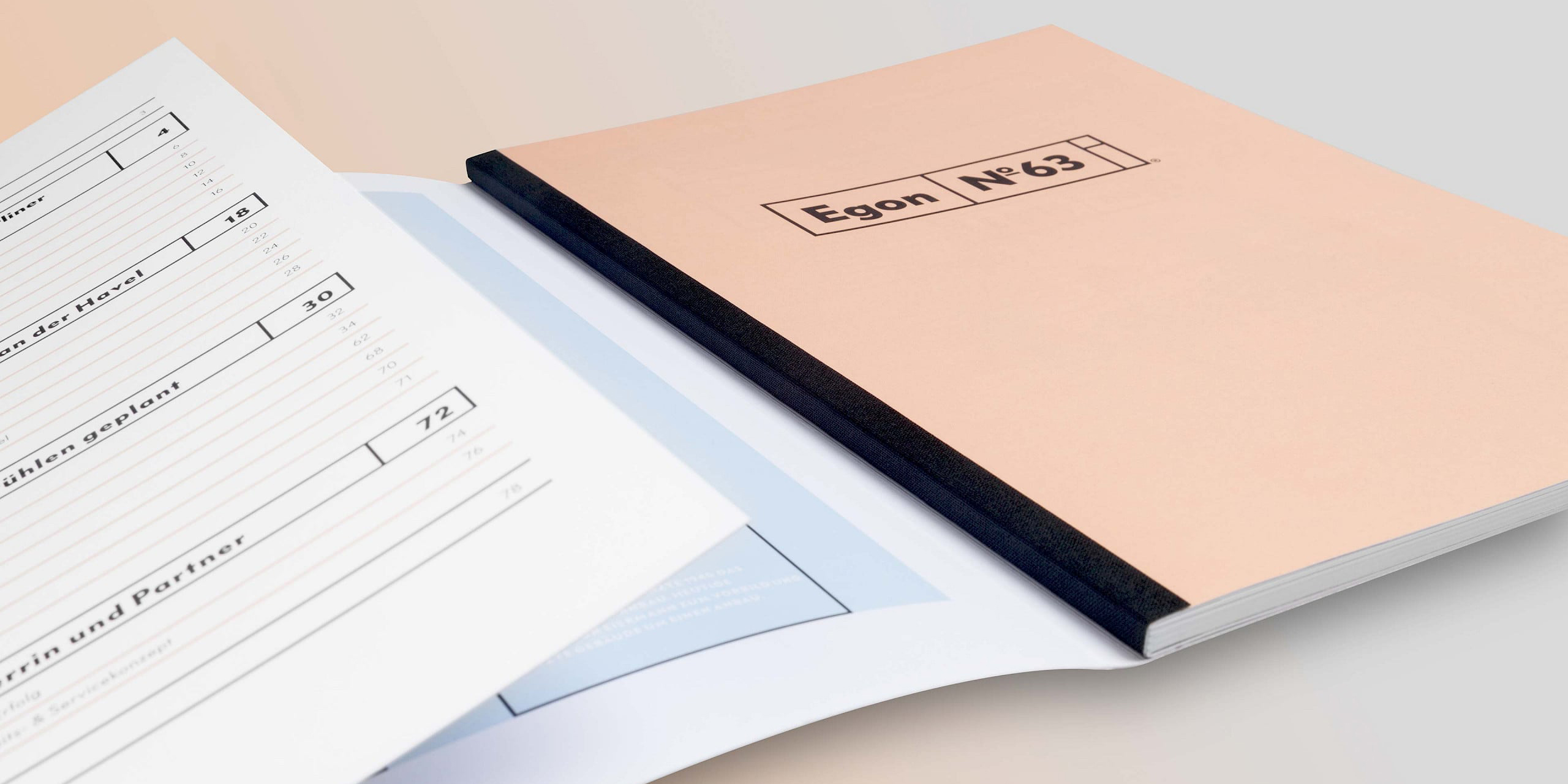 Broschüre von terraplan erstellt von diff communications